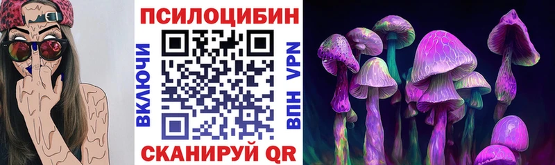 Галлюциногенные грибы Psilocybine cubensis  Вологда 