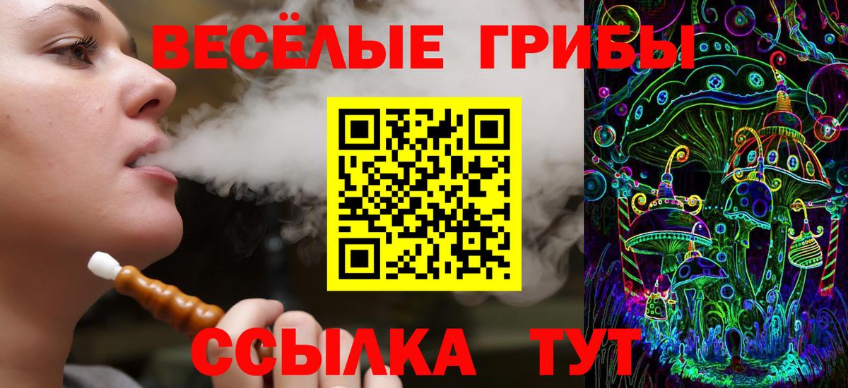 где купить наркоту  Псилоцибиновые грибы Cubensis  Вологда  Вход с VPN  Галлюциногенные грибы мицелий 