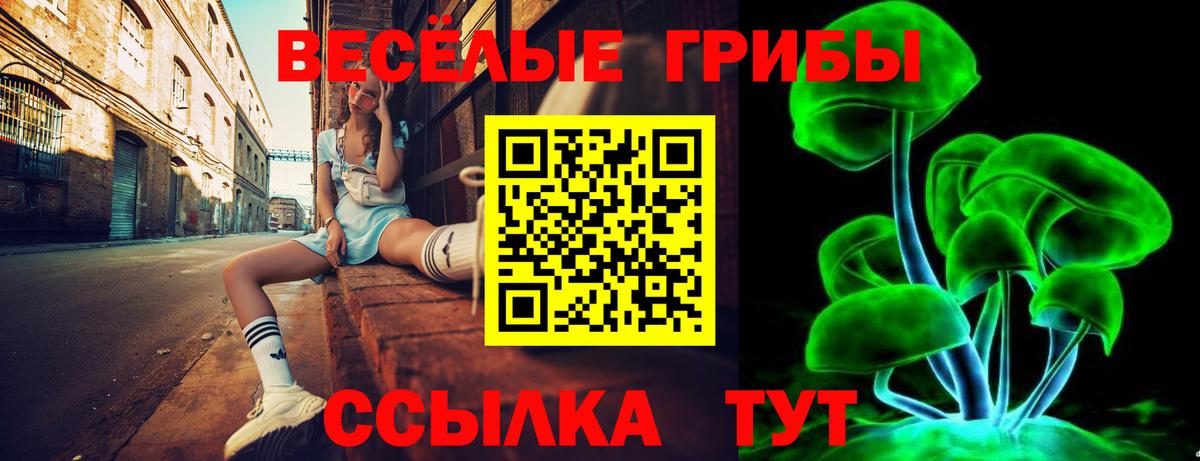 Галлюциногенные грибы Psilocybe Вологда