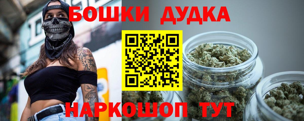 Бошки Шишки планчик  Вход с VPN  Вологда  Каннабис сатива 